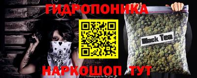 МДПВ Заволжье