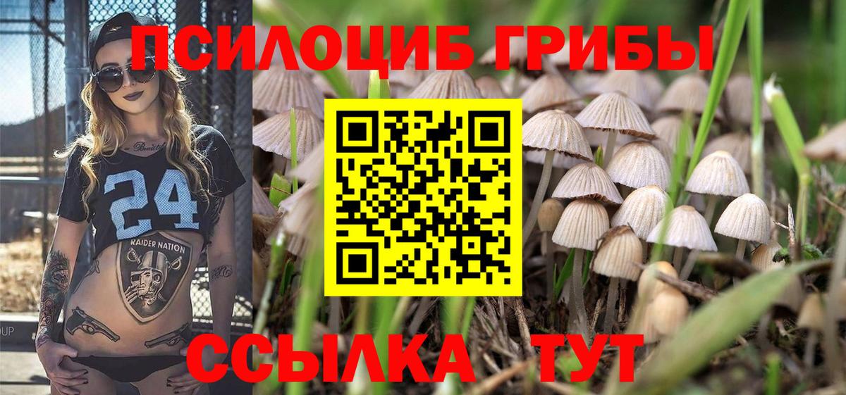 Псилоцибиновые грибы MAGIC MUSHROOMS Дальнегорск