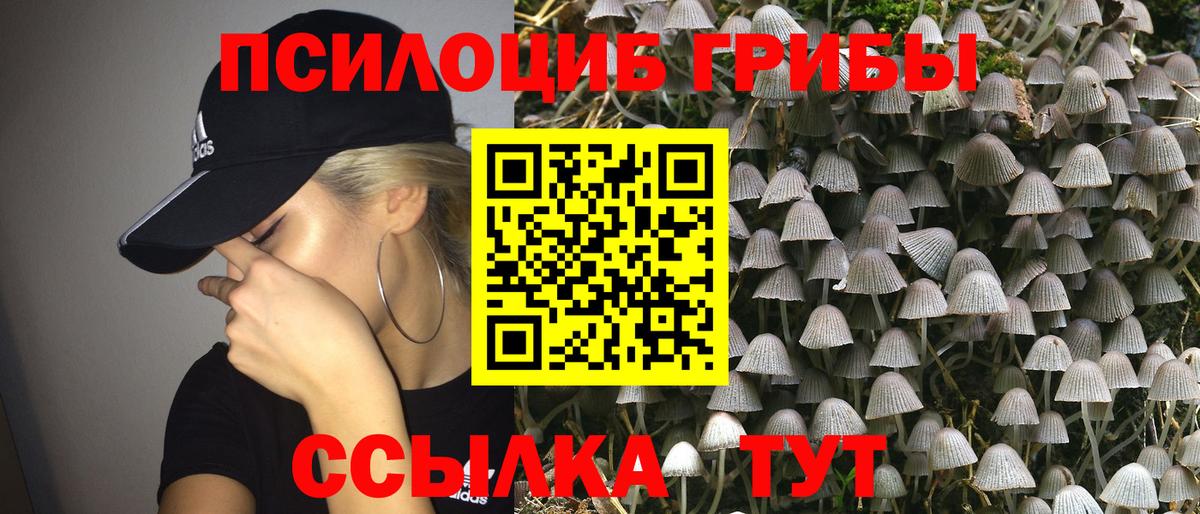 Псилоцибиновые грибы ЛСД  купить наркотик  Дальнегорск  Вход с VPN  Галлюциногенные грибы мицелий 
